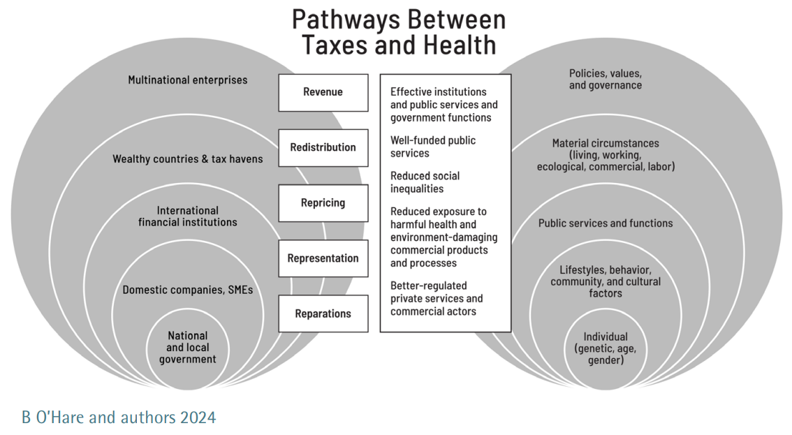 Pathways between taxes and health