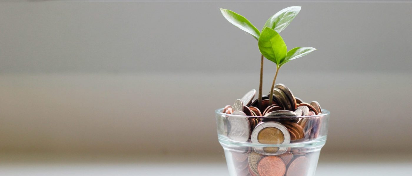 Plant growing out of a cup of coins