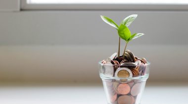 Plant growing out of a cup of coins