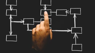 organization-2478211